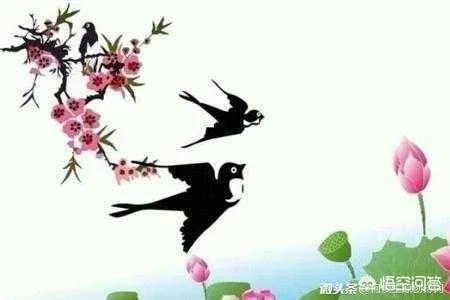 上联：缘来缘去缘已尽，如何对下联？