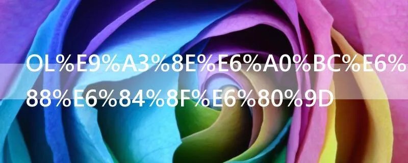 OL风格是什么意思