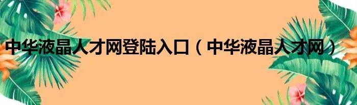 中华液晶人才网登陆入口（中华液晶人才网）