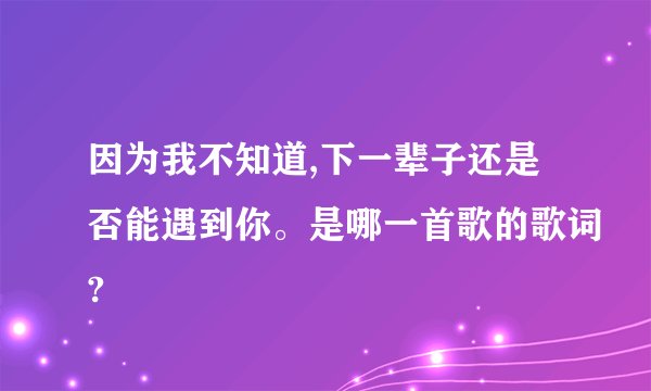 因为我不知道,下一辈子还是否能遇到你。是哪一首歌的歌词?