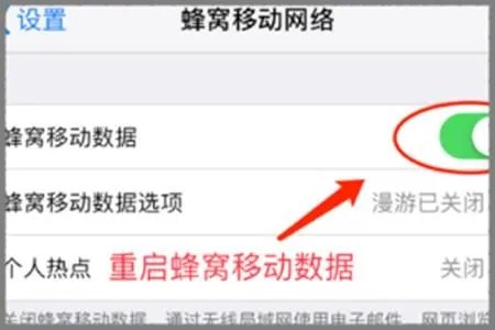 苹果4S上网是说未能激活蜂窝移动数据网PDP鉴定失败怎么办