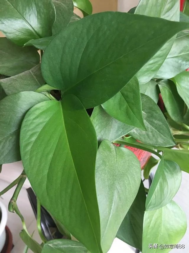 剩女难嫁是因为什么?