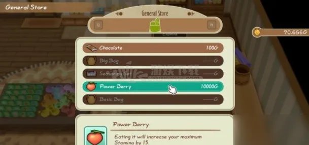 《牧场物语》再会矿石镇力之果实攻略 力之果实怎么获取