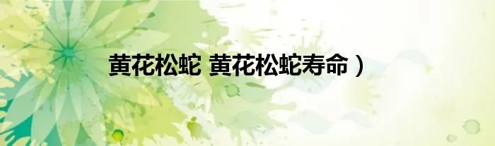 黄花松蛇 黄花松蛇寿命）