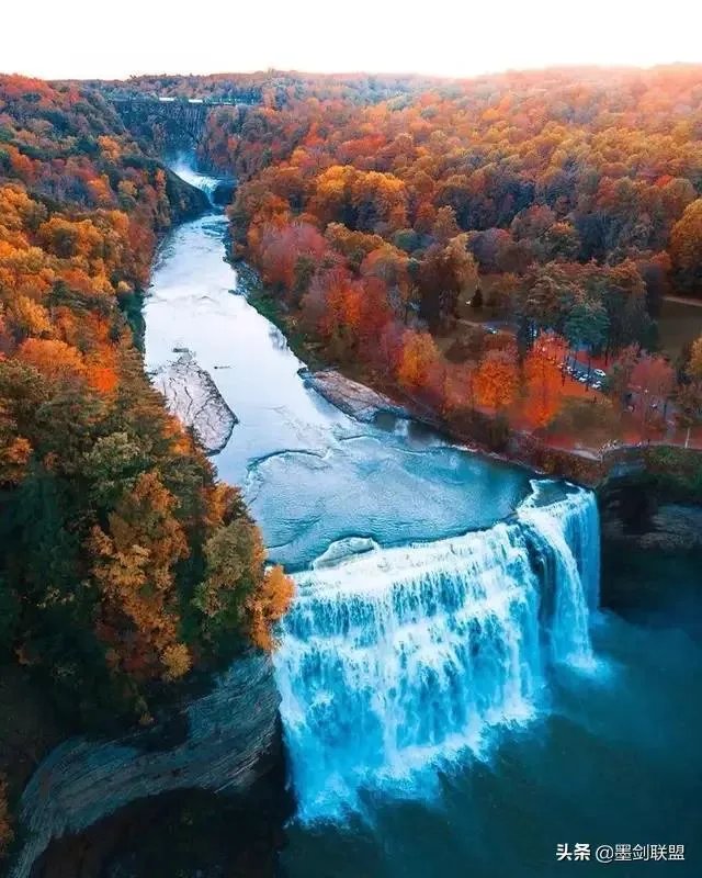 巴西总统确诊会对世界造成什么影响？