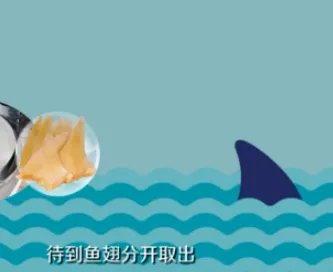 鱼翅要怎么泡发 鱼翅的泡发方法