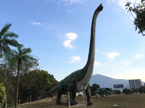 福建省哪里可以看到恐龙化石