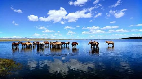 外蒙古是怎么独立的是哪一年