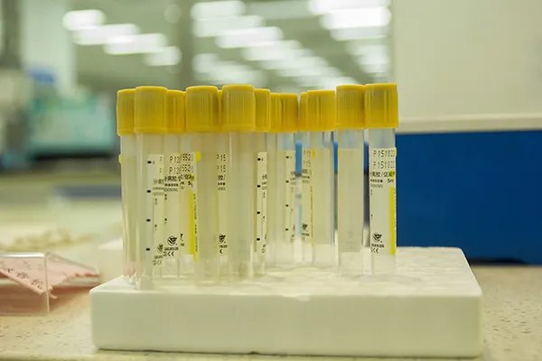 白细胞一个加是什么意思