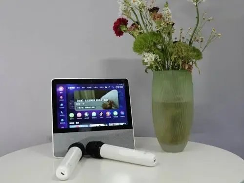 添添T10的语音识别和智能控制表现怎么样？值得入手吗？