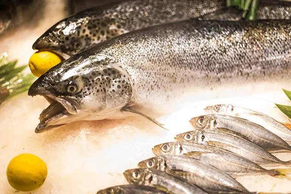 女人更年期吃什么好