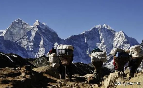 登珠峰为什么要夏尔巴人当向导
