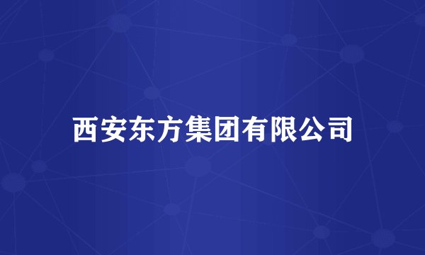西安东方集团有限公司
