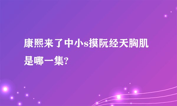 康熙来了中小s摸阮经天胸肌是哪一集?
