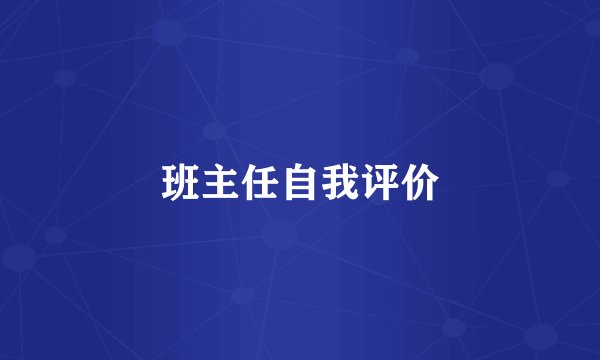 班主任自我评价