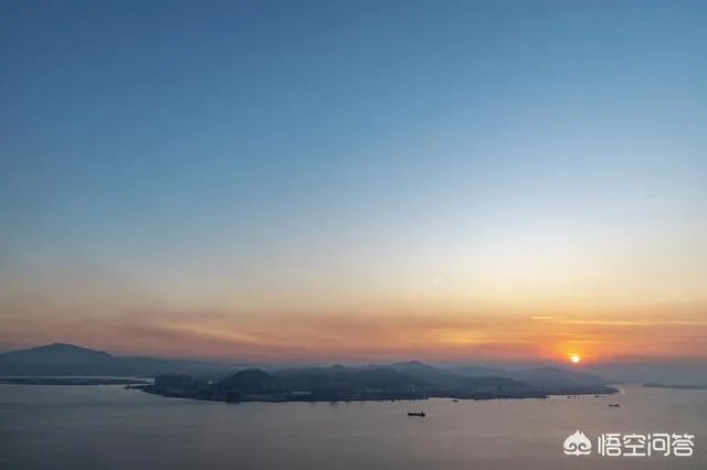 折耳鱼不呼吸在线观看免费