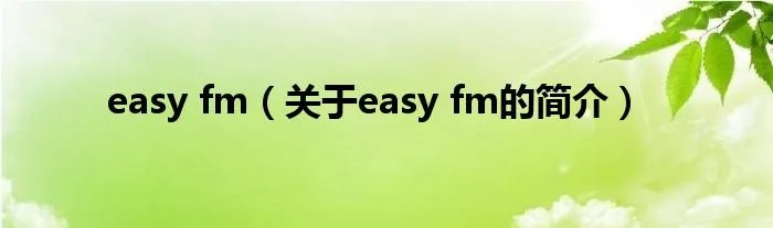 easy fm（关于easy fm的简介）