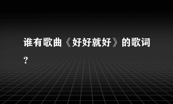 谁有歌曲《好好就好》的歌词？
