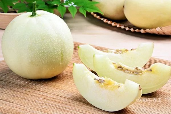 螃蟹不能和哪些食物一起吃