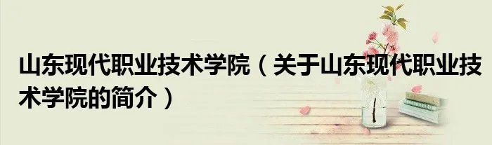 山东现代职业技术学院（关于山东现代职业技术学院的简介）