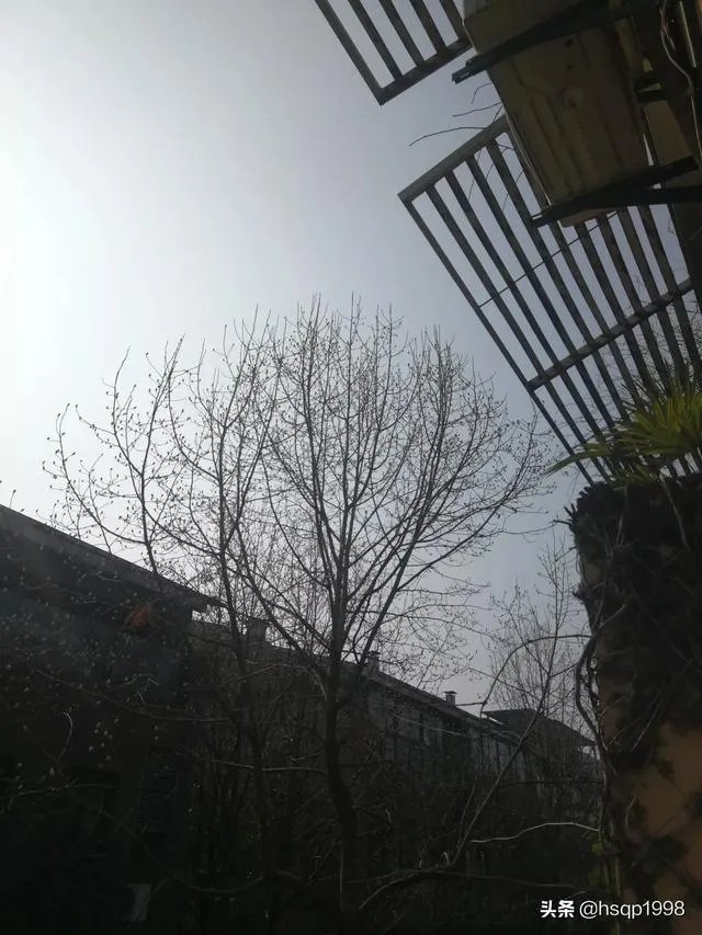 翠微品墅租房子的多吗？租一个两居室大概多少钱？