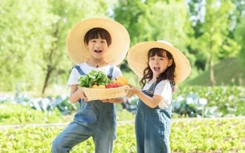 国内各地区五一旅游热门景点排行 国内五一旅游最佳去处推荐