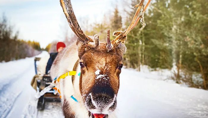 北欧四国是哪四国 北欧四国是哪些