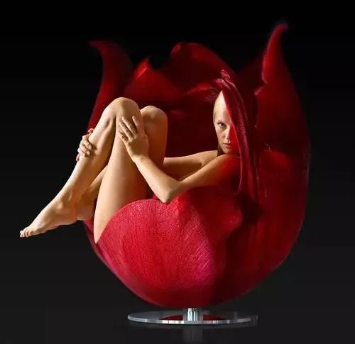 设计界的Lady Gaga-马塞尔·万德斯（荷兰）