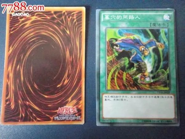 墓穴的同路人的介绍