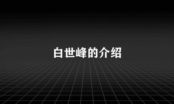 白世峰的介绍