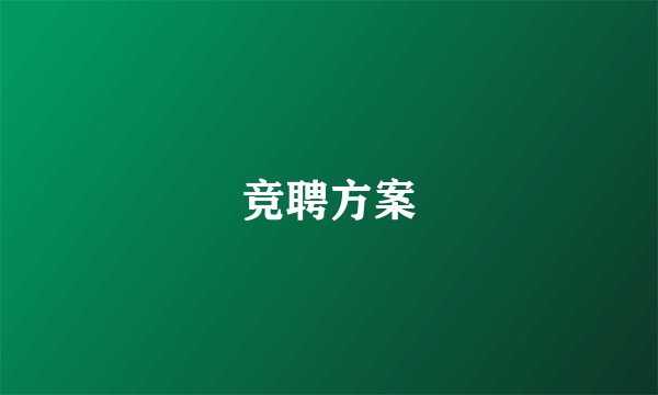 竞聘方案
