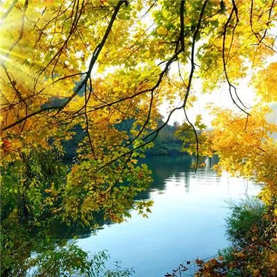 晚上睡觉背痛什么原因