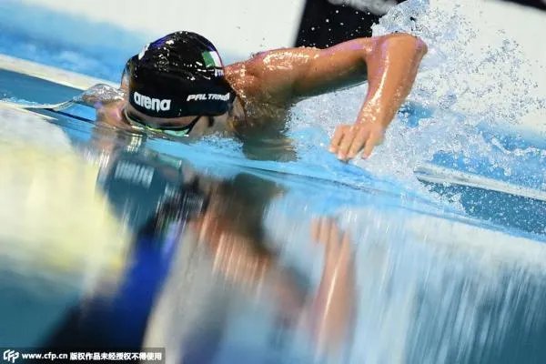 孙杨退赛前36小时发生了什么？心脏不适+撞头