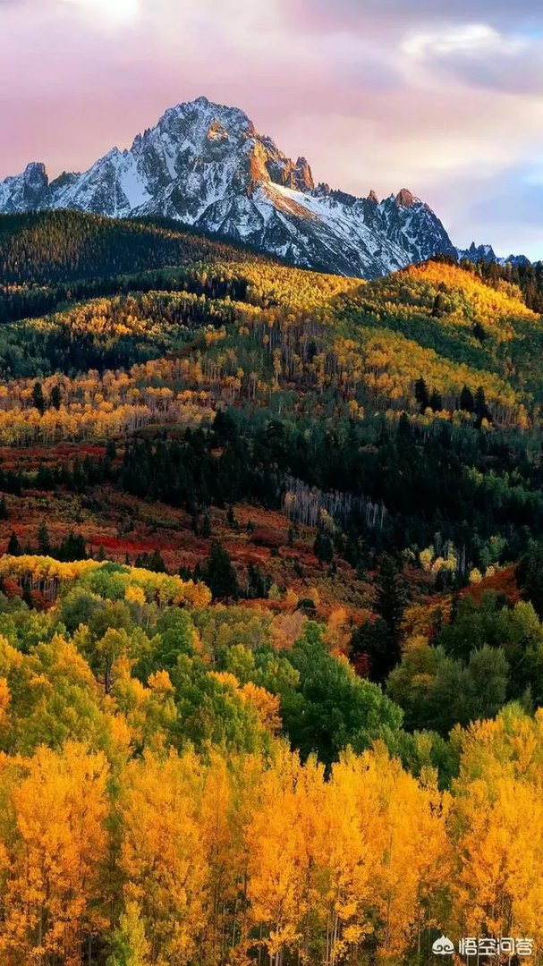 管理型人才和技术型人才有什么不一样,当前社会急需哪种人才?