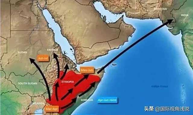 巴基斯坦蝗灾怎么样了？最近怎么感觉没人提及？