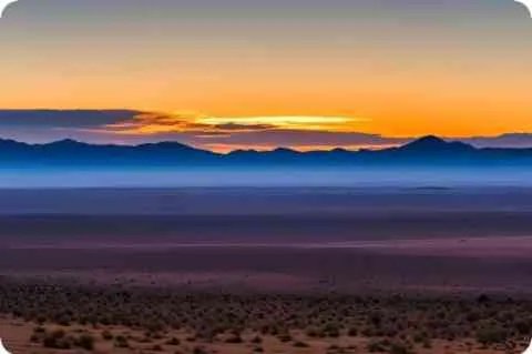 接种量详细资料大全