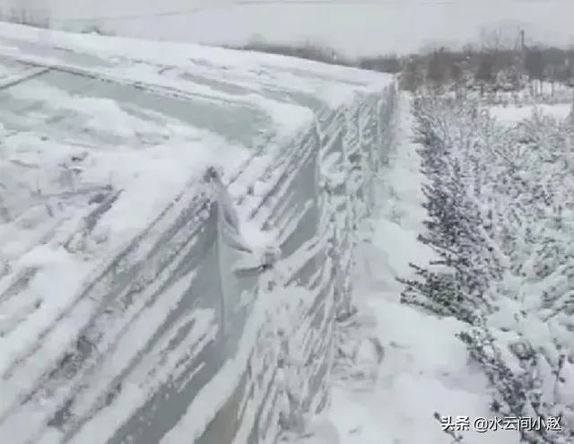 菜价上涨严重，到底是什么原因？