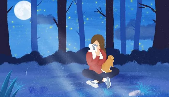 晚安说说朋友圈 适合发朋友圈的经典晚安说说