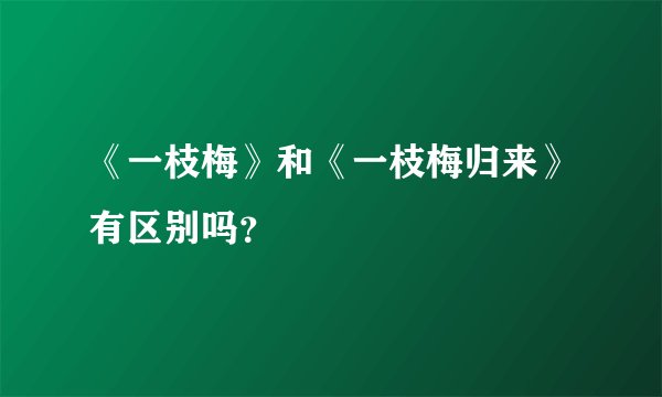 《一枝梅》和《一枝梅归来》有区别吗？