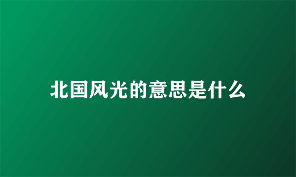 北国风光的意思是什么