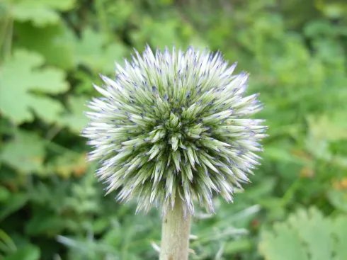 乐和家园的概念