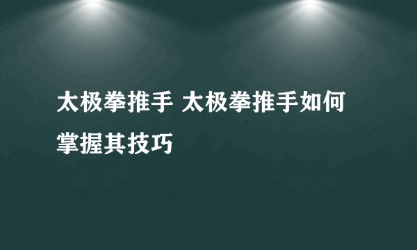 太极拳推手 太极拳推手如何掌握其技巧