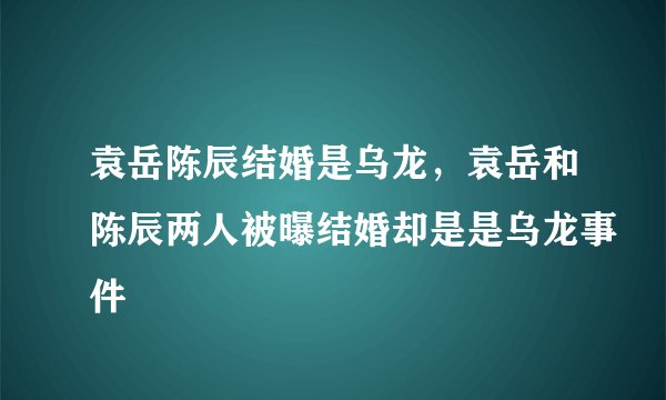 袁岳陈辰结婚是乌龙，袁岳和陈辰两人被曝结婚却是是乌龙事件