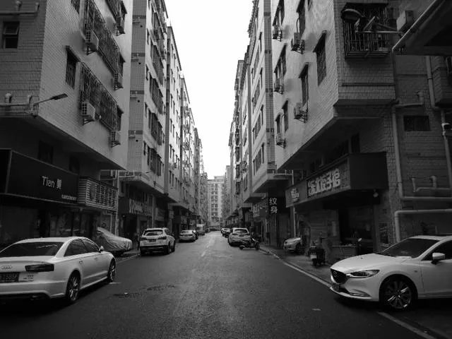 大洋花园租房子的多吗？租一个两居室大概多少钱？