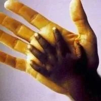 非裔是什么意思？