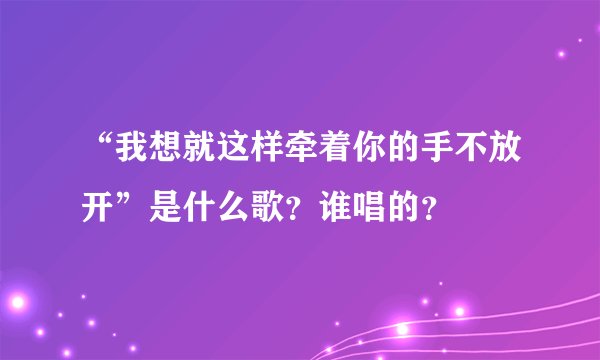 “我想就这样牵着你的手不放开”是什么歌？谁唱的？