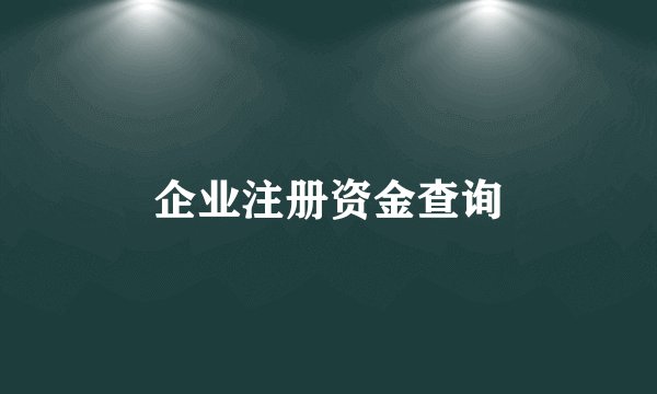 企业注册资金查询