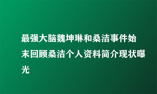 最强大脑魏坤琳和桑洁事件始末回顾桑洁个人资料简介现状曝光