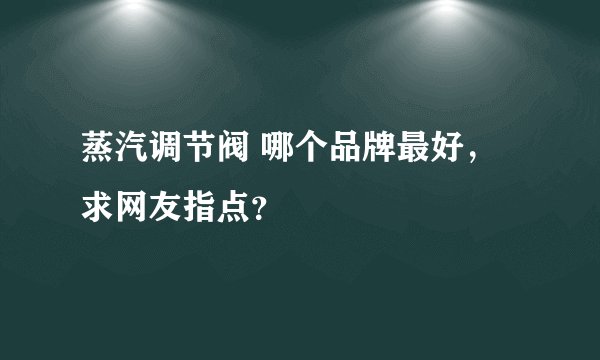蒸汽调节阀 哪个品牌最好，求网友指点？