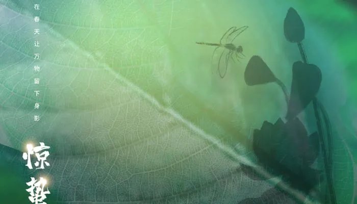 2022惊蛰图片大全最新 2022年惊蛰节气唯美图片